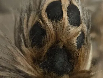 Life According To Benjamin (1)