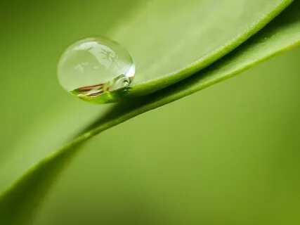 Life As A Veil Of God