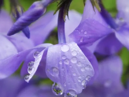 Life As An Adventure