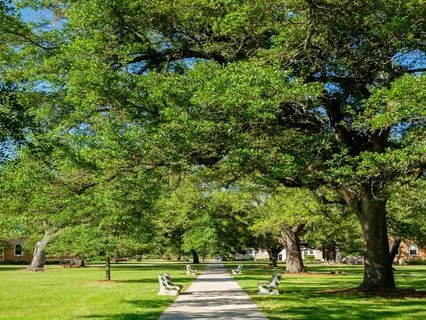 Life As An International Student - 10-Minute Meditation