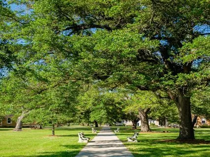 Life As An International Student - 15-Minute Meditation