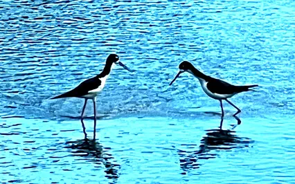 Life Beyond The Five Senses, Mystical Perspective