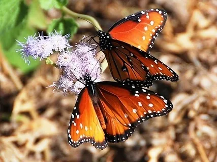 Life Changes In The Now