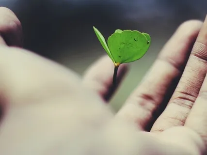 Life Death & Everything In Between