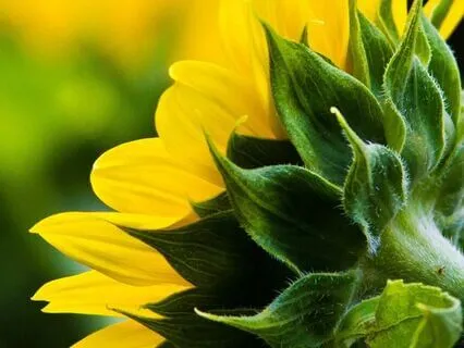 Life - Energizing Music