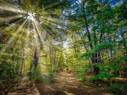 Life Happening Through Me