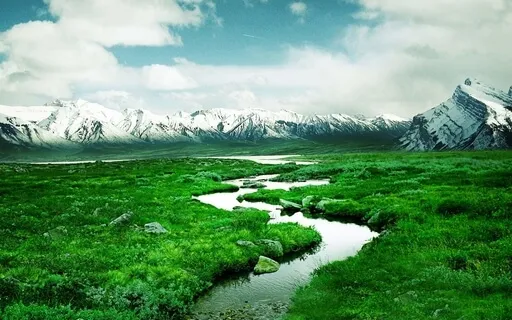 Life Has So Many Surprises