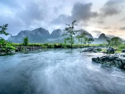 Life In The River