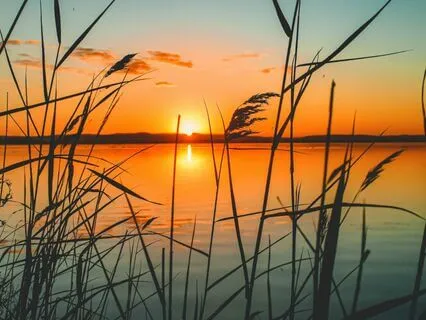 Daily Gratitude & Positive Energy Meditation.