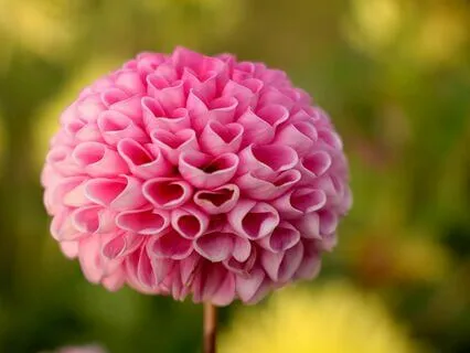 Loving Kindness Meditation - Learning To Love & Accept