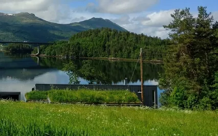 Life Is Happening In The Meantime 