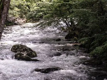 Life Is Like A Flowing River