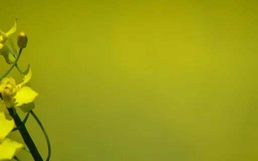 Life Is Like A Rollercoaster - Let's Enjoy The Ride