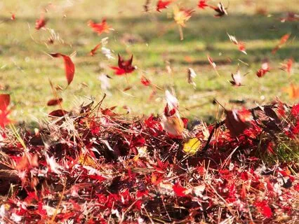 Life Is Not Happening To You | Freedom From The Mind’s Story