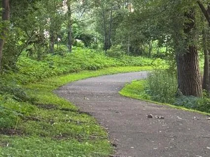 Life Is Our Path
