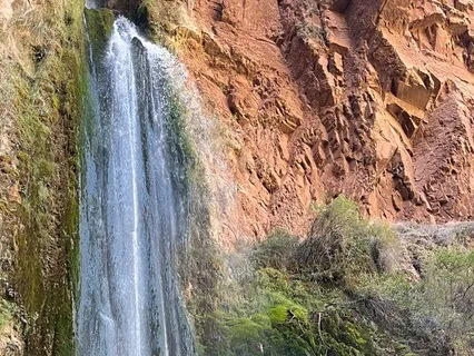 Life Is Safe And Fun