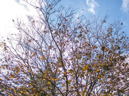 Life Is Short - A Meditation To Release Fears