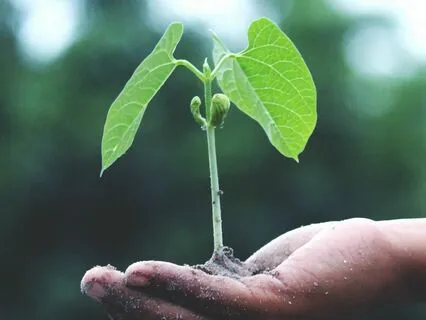 Life Is What You Make It