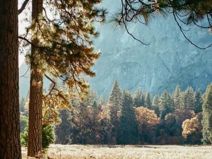 Life Journey – Music For Focus And Relaxation