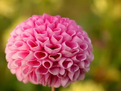 Life Loves You Passionate Pep Talk Sound Bath