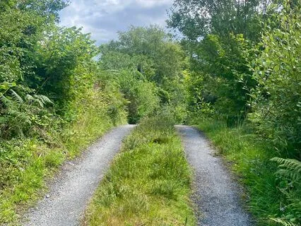 Life Purpose Affirmations