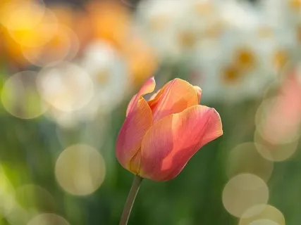 Life Purpose Exercise