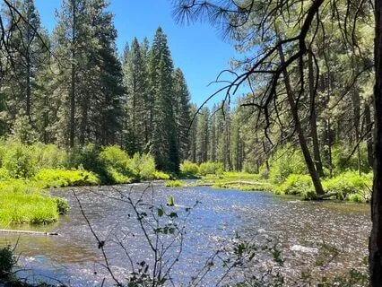 Life's A River: Brief Musical Meditation