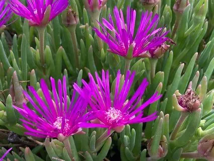 Life Supports Us: A Web Of Gratitude