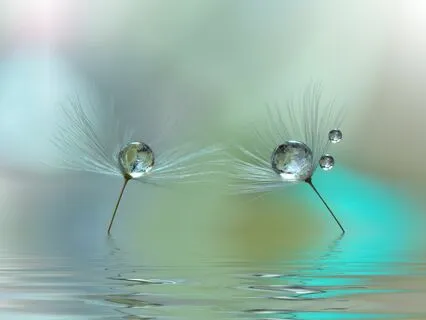 Life Through The Lens Of Understanding.