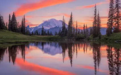 Life Without Any Inner Conflict Or Deception Has No Violence