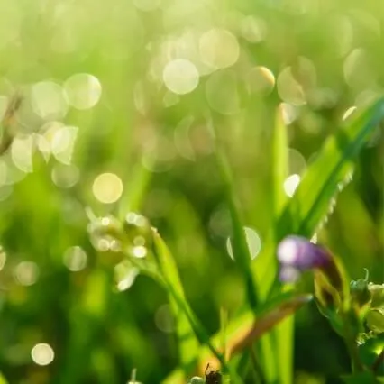 Life Without Stress-Management Is Possible