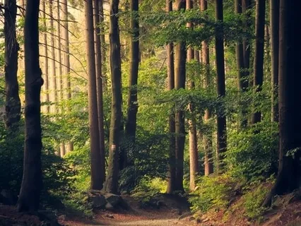 Life's Big And Little Picture