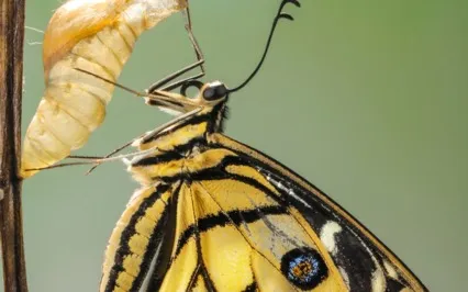 Life's Changes And Transitions (Accept) Morning Meditation