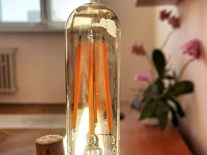 Life's Eternal Engine