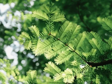 Life's Unwelcome Guests