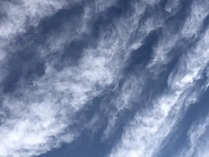 Lift Out Of Lockdown