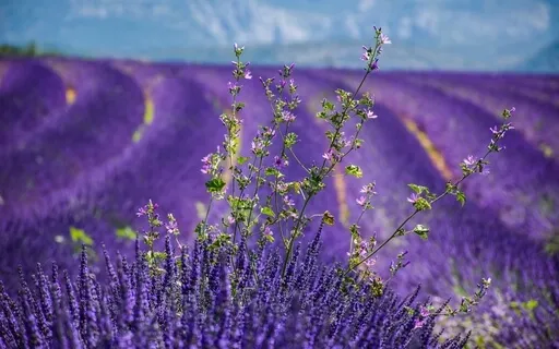 Lifting Depression | Healing Feelings Of Sadness & Despair