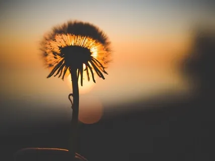 Liggende Yoga (30 Minutes)