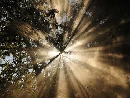 Light - A Six Elements Meditation