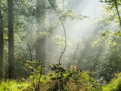 Light Alignment - Let Your Light Shine