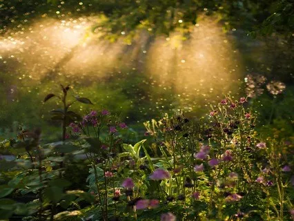 Light Alignment - Protecting Your Energy