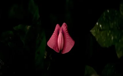 Light & Love - Calm Music