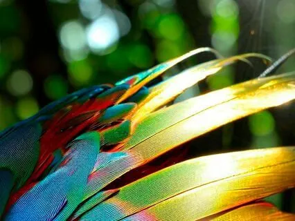 Light As A Feather, Sound Healing Feat. Cristina Kalyani