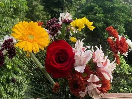 Light As A Feather Sound Journey