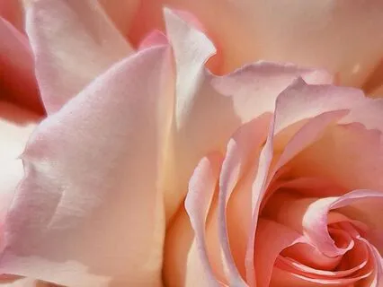 Light Between Chords — gentle guitar for deep relaxation