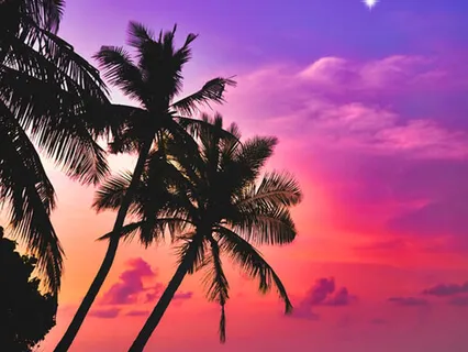 Light Body Activation