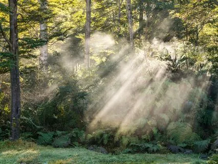 Light Code Activation