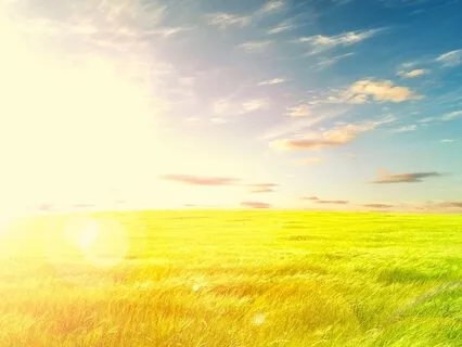 Light Draws Us Home (9-minute Mindful Moment)