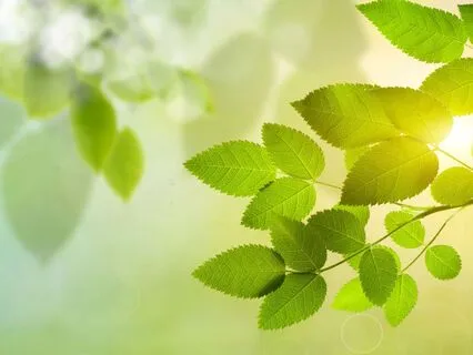 Light & Easy Relaxation Meditation