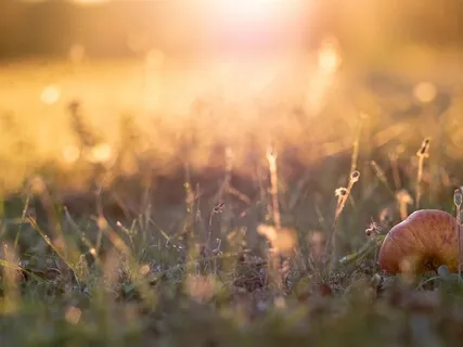 Light Heart House Practice For Leaders & Influencers